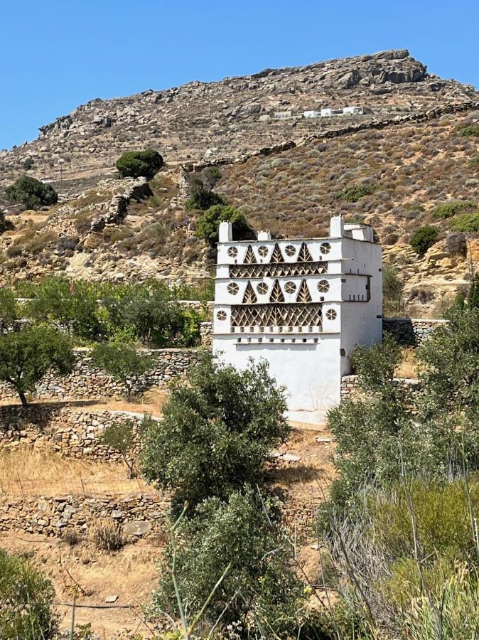 Sea Views - Marble Palace - 2 Floors Tinos Exterior foto