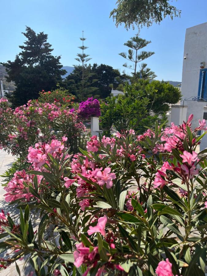 Sea Views - Marble Palace - 2 Floors Tinos Exterior foto